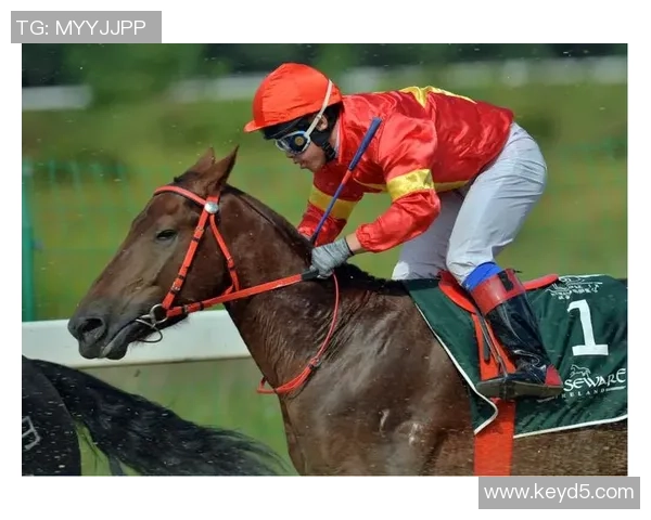 武汉乒乓球队在全国速度排行榜中荣登第九名展现强劲实力